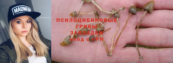 шишки Вязники