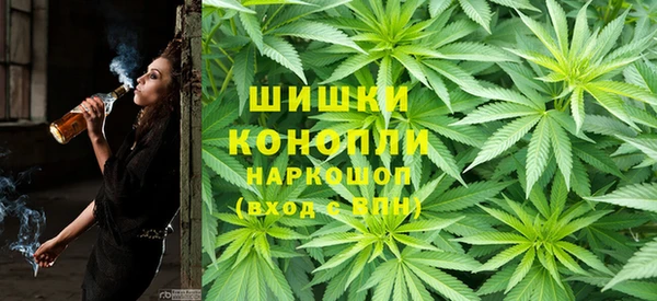 стаф Гусев
