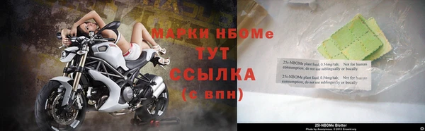 шишки Вязники