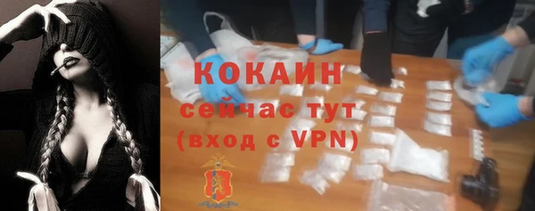 шишки Вязники