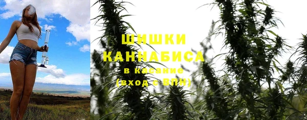 ешки Вяземский