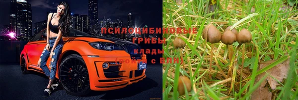 ешки Вяземский