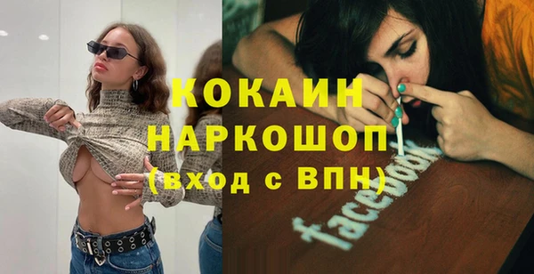 стаф Гусев