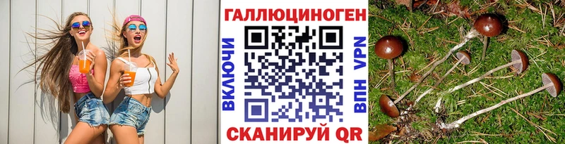 Псилоцибиновые грибы Psilocybe  Завитинск 